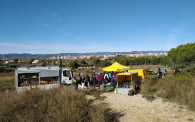 Divulgació i repoblació forestal a Vilafranca