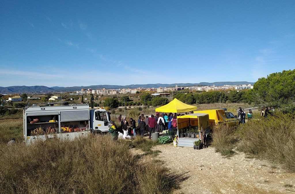 Divulgació i repoblació forestal a Vilafranca