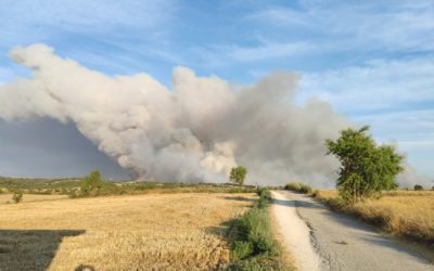 Incendi Forestal de Santa Coloma de Queralt